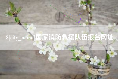 招远国家消防救援队伍报名网址