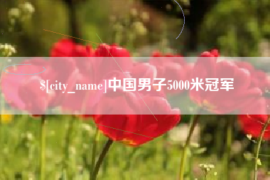 招远中国男子5000米冠军