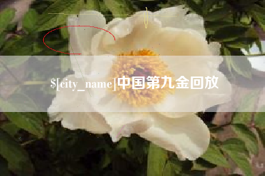 招远中国第九金回放