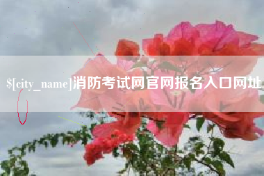 招远消防考试网官网报名入口网址