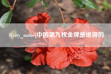 招远中国第九枚金牌是谁得的