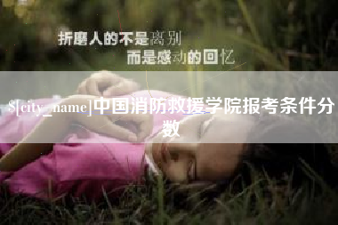 招远中国消防救援学院报考条件分数