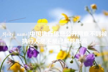 招远中国执行信息公开网查不到被执行人是不是已解除限高