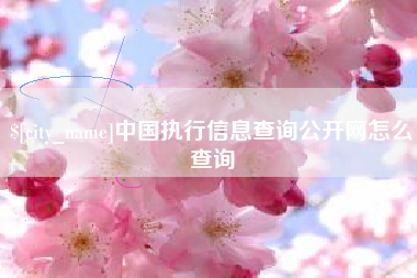 招远中国执行信息查询公开网怎么查询