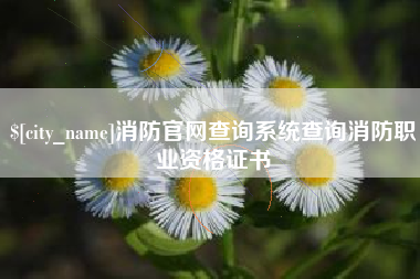 招远消防官网查询系统查询消防职业资格证书
