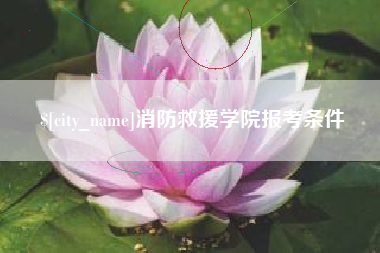 招远消防救援学院报考条件