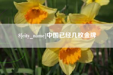 招远中国已经几枚金牌