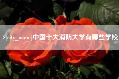 招远中国十大消防大学有哪些学校
