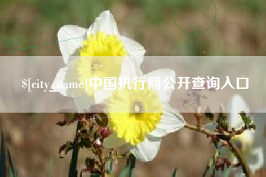 招远中国执行网公开查询入口