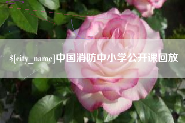招远中国消防中小学公开课回放