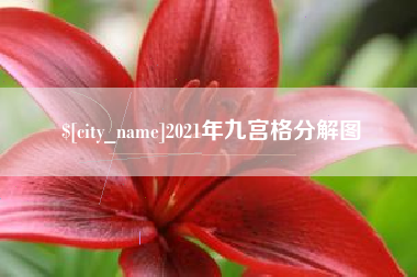 招远2021年九宫格分解图