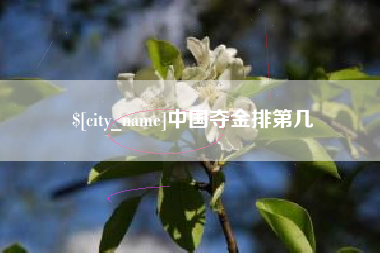 招远中国夺金排第几