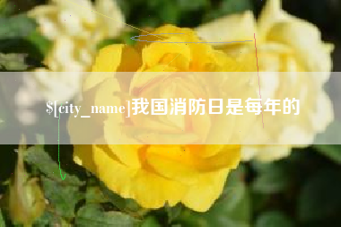 招远我国消防日是每年的