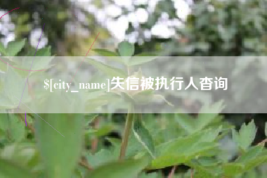 招远失信被执行人杳询