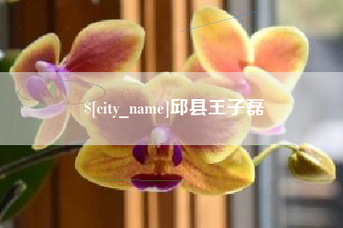 招远邱县王子磊