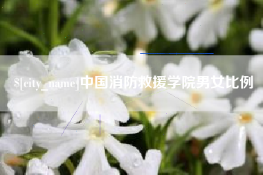 招远中国消防救援学院男女比例