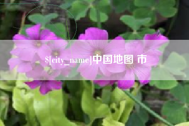 招远中国地图 市