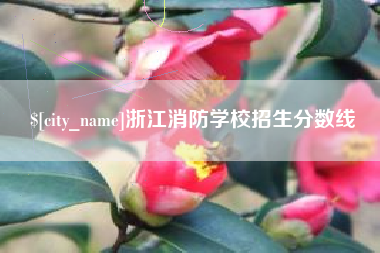 招远浙江消防学校招生分数线