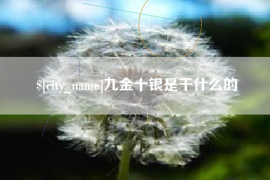 招远九金十银是干什么的