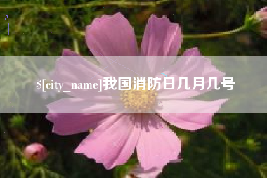 招远我国消防日几月几号