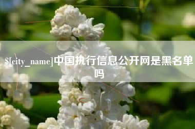 招远中国执行信息公开网是黑名单吗