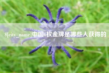 招远中国6枚金牌是哪些人获得的