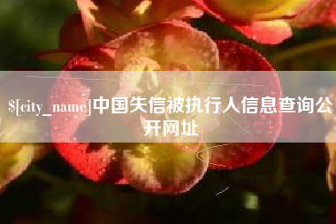 招远中国失信被执行人信息查询公开网址