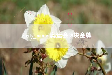 招远奥运会39块金牌