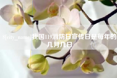 招远我国119消防日宣传日是每年的几月几日