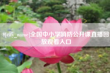 招远全国中小学消防公开课直播回放观看入口