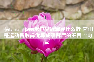 招远5000米世界冠军穿什么鞋-它们是运动员取得优异成绩背后的重要“功臣”