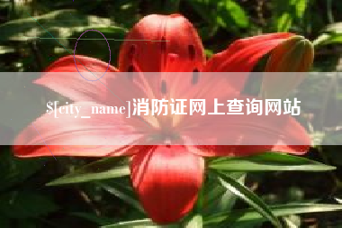 招远消防证网上查询网站