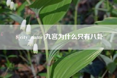 招远九宫为什么只有八卦