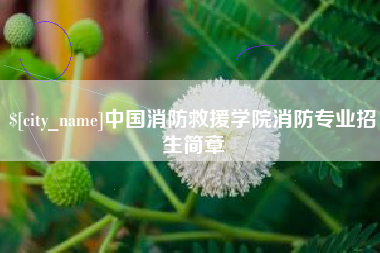 招远中国消防救援学院消防专业招生简章