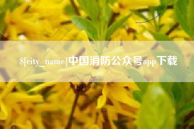 招远中国消防公众号app下载
