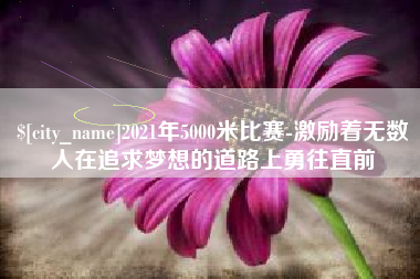 招远2021年5000米比赛-激励着无数人在追求梦想的道路上勇往直前