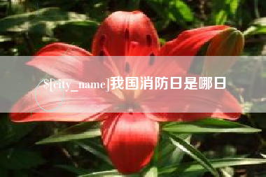 招远我国消防日是哪日