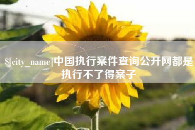 招远中国执行案件查询公开网都是执行不了得案子