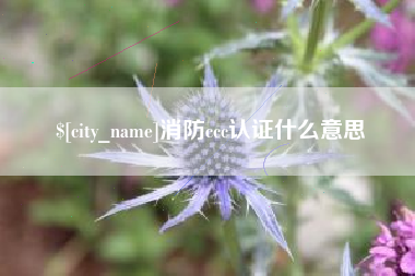 招远消防ccc认证什么意思