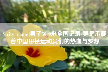 招远男子5000米全国记录-更是承载着中国田径运动员们的热血与梦想