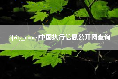 招远中国执行信息公开网查询