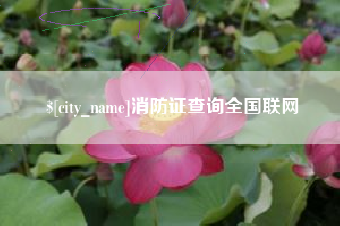 招远消防证查询全国联网