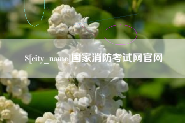 招远国家消防考试网官网