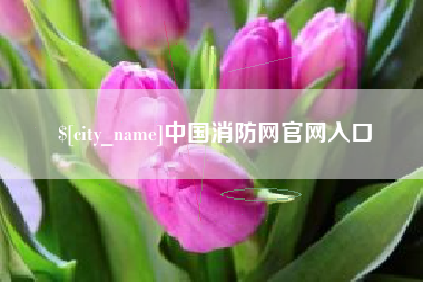 招远中国消防网官网入口