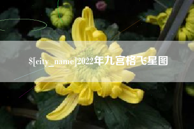 招远2022年九宫格飞星图