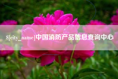 招远中国消防产品信息查询中心