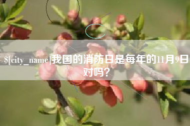 招远我国的消防日是每年的11月9日对吗？