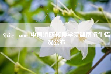 招远中国消防救援学院湖南招生情况公布