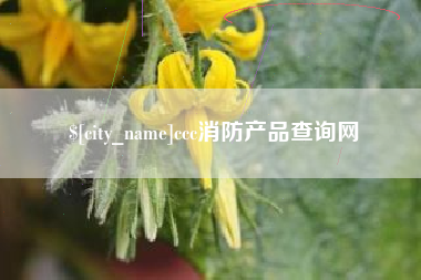 招远ccc消防产品查询网