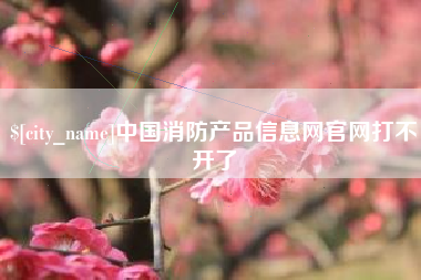 招远中国消防产品信息网官网打不开了
